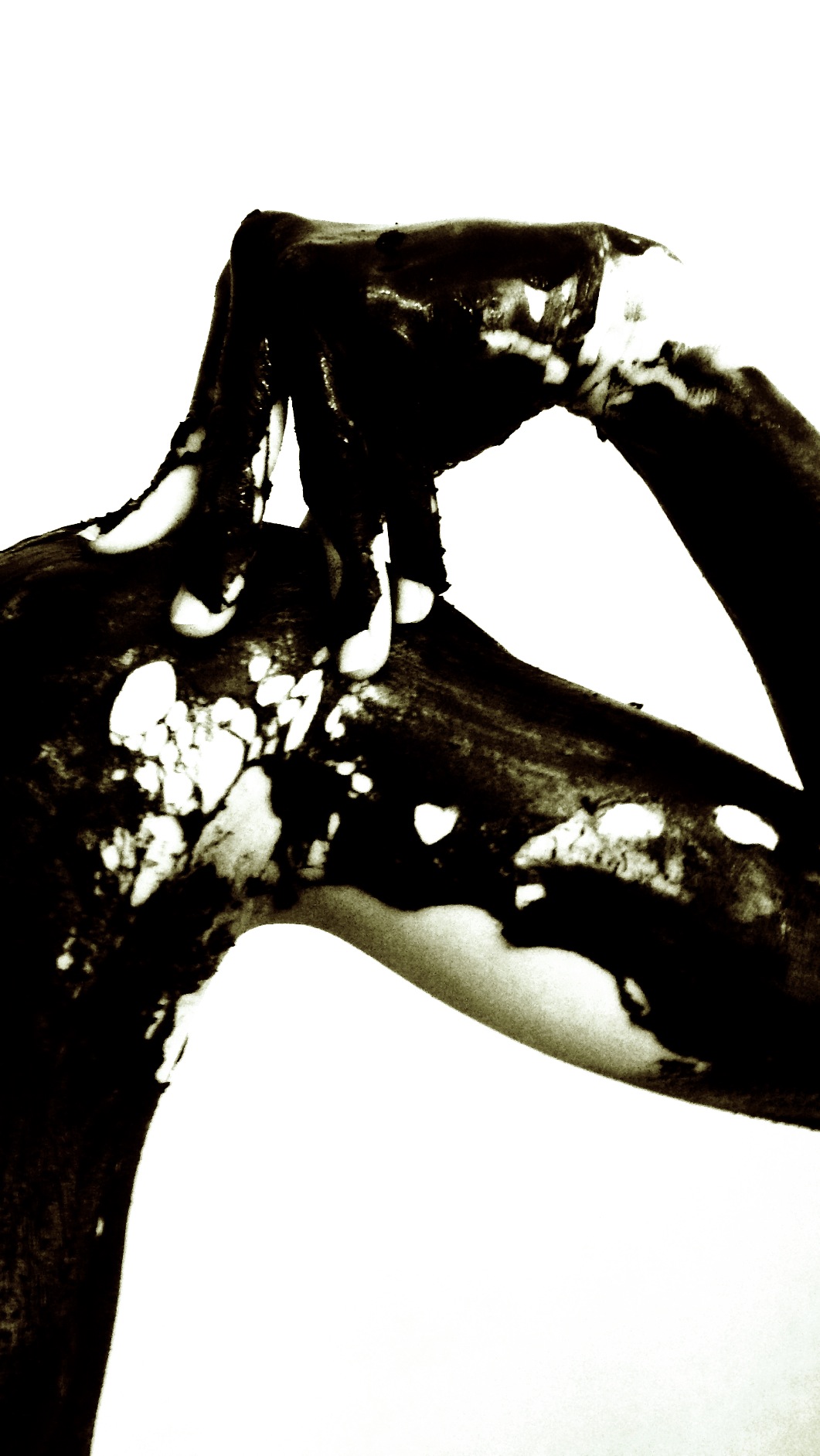 projection-photographie-iphone-laura-monteiro-6 projection-photographie-iphone-laura-monteiro-6